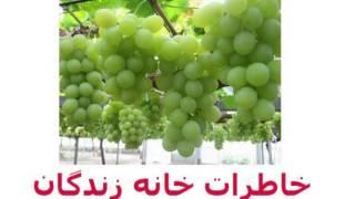 همنشین بهار: خاطرات خانه زندگان (۲۱)