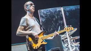 Pino Palladino Bass - Bluestrut