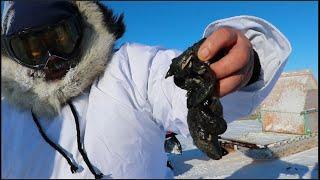 Charlie Takatak, Sharing Knowledge - Sanikiluaq