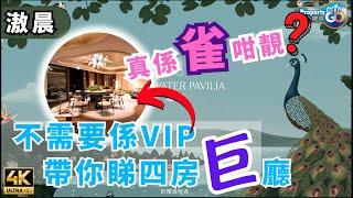 滶晨  孔雀咁靚? 🪭 DEEP WATER PAVILIA｜港島南岸第5期 黄竹坑鐵站 香葉道11號｜BAYSIDE SUITE｜新世界 帝國集團 資本策略 麗新｜上樓德