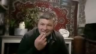 Черный Кентукки от канала Стройка, Табаководство, Харьков, Дача