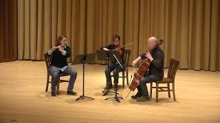 Albert Roussel, Trio op.40, Allegro non troppo