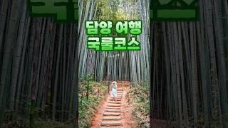 담양 가면 꼭 가야 하는 여행 코스 국내여행지 추천, 죽녹원, 메타세콰이어길 등 담양 가볼만한곳!