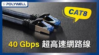 CAT8 40Gbps 超高速網路線｜POLYWELL 寶利威爾