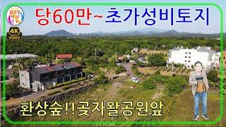 (당60만원)초가성비토지️환상숲 곶자왈공원앞 #제주토지매매