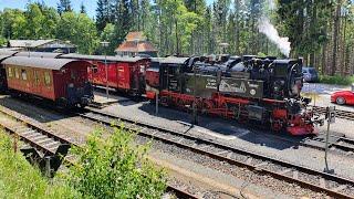 Die Harzer Schmalspurbahnen nach Aufhebung Corona-Lockdown im Juni 2020