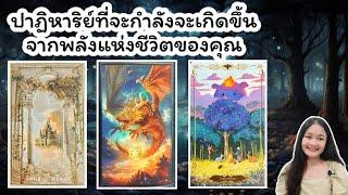 ปาฏิหาริย์ที่จะกำลังจะเกิดขึ้นจากพลังแห่งชีวิตของคุณpick a deck‍️‍‍🪷#ไพ่ทาโรต์