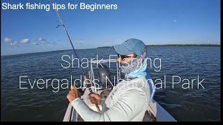 Secrets to Successful Shark Fishing   #sharks #fishing #sharkweek