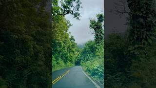 Hope #hawaii #rain #surahalimran #hope #youtubeshorts #reels #driving #nature #depression #believe