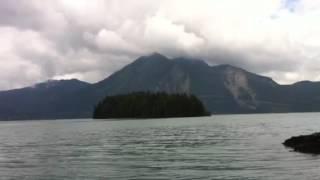 Bayerische Lachmöwen auf dem Walchensee