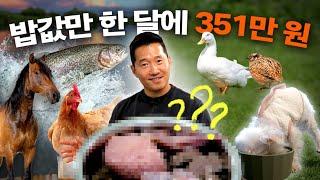 개통령은 뭘 먹일까? 24년 만에 완성한 반려견 식단. 싹 다 공개합니다.[철저한내돈내산,무료광고,육해공맛집,나보다잘먹음]