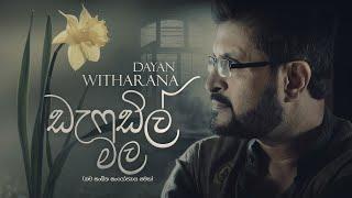 Daffodil Male  - Remake - Dayan Witharana - Chaaminda Rathnasuriya - Magical Lyricism