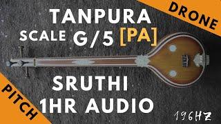 Tanpura Sruthi - Drone - G Scale or 5 Kattai - Pa (Panchamam/ Pancham) - 196Hz