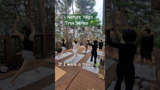 네이처 요가 나무 시리즈🪵 #야외요가 #주말요가 #원데이클래스 #춘천여행