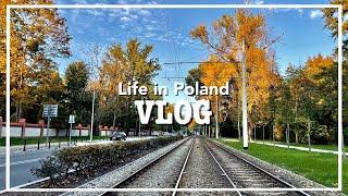 Daily Life in Poland | TomaHawk Steak | Le Creuset | Villeroy & Boch | Unboxing | EP0028 [vlog]