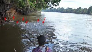 DARI MANCING IKAN TOMAN LANJUT MANCING IKAN HAMPALA