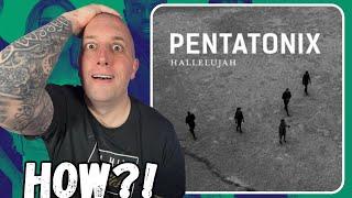 FIRST TIME Hearing Pentatonix - Hallelujah || A True Christmas Gift!