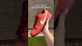 EARLY IN HAND LOOK!! ‍Nike Dunk Low Sb Mystic Red and Aqua Noise