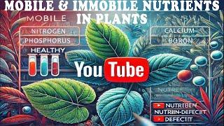 Hydroponics Training - Episode 20 (Mobile and Immobile Nutrients) -   Hydroponic Farming Training