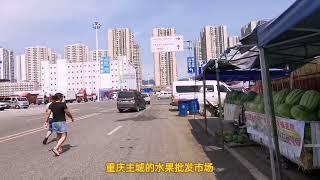 重庆最大的水果批发市场，全重庆80%的水果需求，都是出自于这里