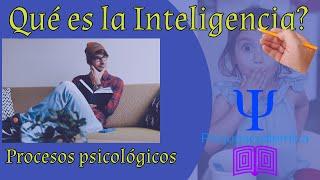 que es la inteligencia? inteligencia / procesos cognitivos / psiqueacademica