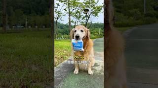 Luna helps others but gets in trouble #shorts #usa
