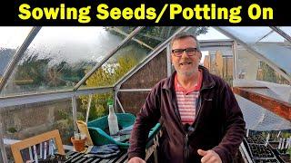 Potting On | Sowing Seeds | Space Saving Sowing Method | Green Side Up