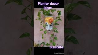 planter decor ideas  #minivlog #decoration #planterideas #reuseidea  #shorts