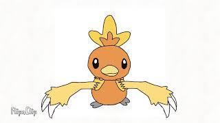 Torchic evolve's