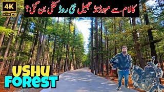 Ushu Forest Kalam | Kalam to Mahodand Lake New Road | Swat Valley Beautiful Places