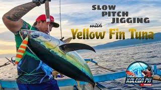 WISH GRANTEDYELLOW FIN TUNASLOW PITCH JIGGING