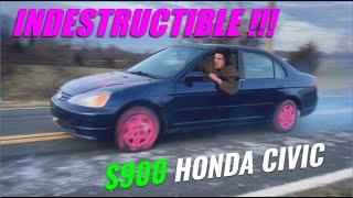 $900 HONDA CIVIC REFUSES TO DIE!!