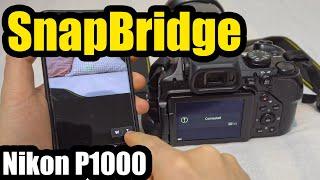 Nikon P1000 connected to Android Smartphone (SnapBridge app)