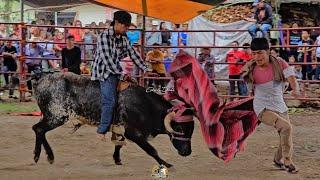 SAN JUAN YATZONA  FIESTA EN HONOR A SAN JUAN EL BAUTISTA 25 DE JUNIO 2024