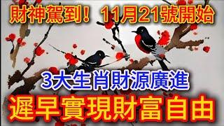 財神駕到！11月21號開始，3大生肖財運亨通，橫財如潮水，事業步步晉升，桃花運爆棚，貴人相助，福氣滿滿，求財如願，財富與愛情齊飛！ |踏雪寻梅 #生肖  #般若明燈  #佛語禪心#平安是福