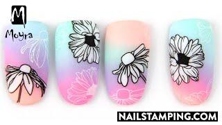 Floral stamping nail art on a colourful ombre base (nailstamping.com)