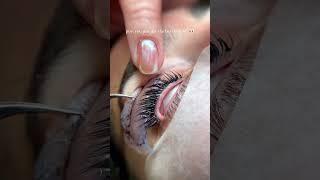 Lomansa Lash Tint Technique