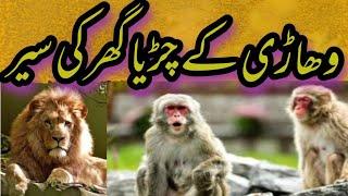 Vehari Zoo Visit || Vehari Ka  Charia Gar Ke Sair