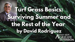 Turf Grass Basics: Surviving Summer and the Rest of the Year by David Rodriguez