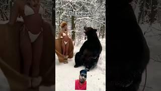 #funny #cat #bear #animals #humor #animal #cute #pet #beer #wow @laura.alieva @itzsujoun