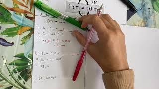 Gr. 4 Wiskunde Lengte: Herlei eenhede (cm = mm) met ‘n komma.