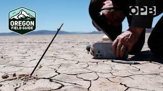 Oregon man attempts to shoot an arrow farther than anyone on Earth | Oregon Field Guide