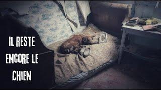 Je découvre ce chien 50 ans après l'abandon (URBEX)