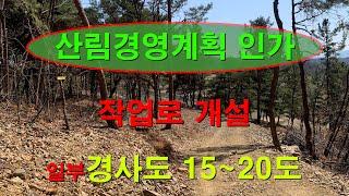 [1173][임야매매] 산림경영계획인가가 되어 있는 임야. 일부는 경사도가 낮아 개발도 가능할 수 있어, 임업후계자나 산림사업에 관심있으신 분들은 이 영상을 봐 주시길 바랍니다.