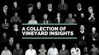 Vineyard Insights Trailer