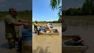  Australian VS. Crawfish Farming