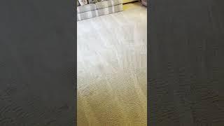 Spring Hill Carpet Cleaning - Steam Medic Carpet & Upholstery Cleaning Spring Hill, FL  #carpetcare