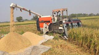 Kubota Paddy Rice Cutter Machines Efficient Harvesting | Japanese mini Rice Harvesting machine