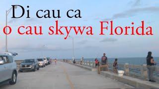 Di cau ca o cau skyway Florida