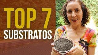 TOP 7 Substratos | Nô Figueiredo